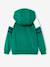 Boys' sporty zip-up hooded sweatshirt with raglan sleeves green+navy blue+pecan nut - vertbaudet enfant 
