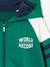 Boys' sporty zip-up hooded sweatshirt with raglan sleeves green+navy blue+pecan nut - vertbaudet enfant 