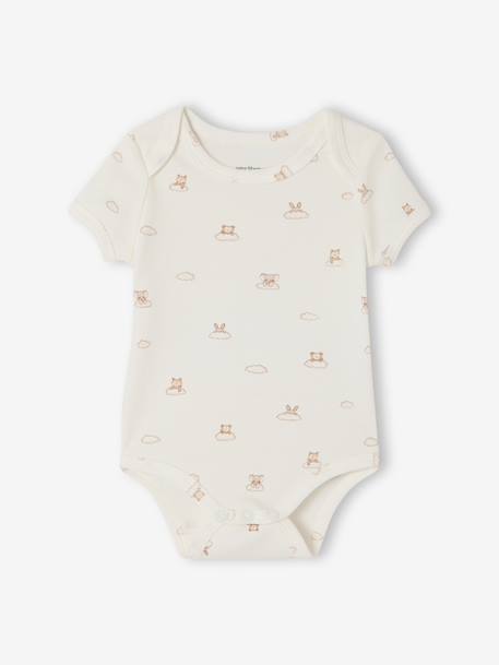 Pack of 5 short-sleeved bodysuit rabbit cloud ecru - vertbaudet enfant 