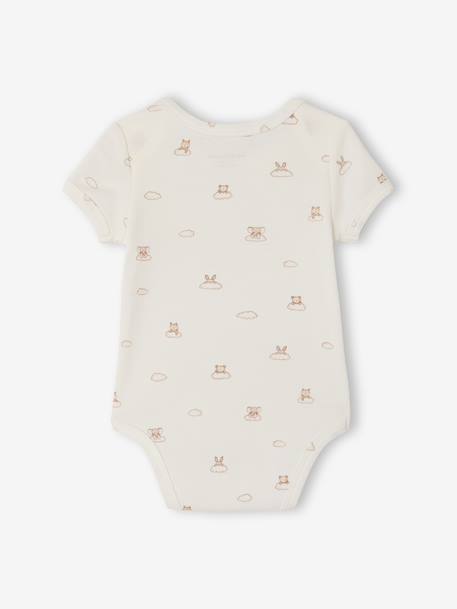 Pack of 5 short-sleeved bodysuit rabbit cloud ecru - vertbaudet enfant 