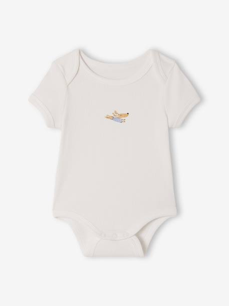 Pack of 3 short-sleeved dog print bodysuits for babies anthracite - vertbaudet enfant 