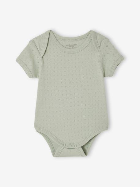 Pack of 3 short-sleeved pointelle bodysuits sage green - vertbaudet enfant 