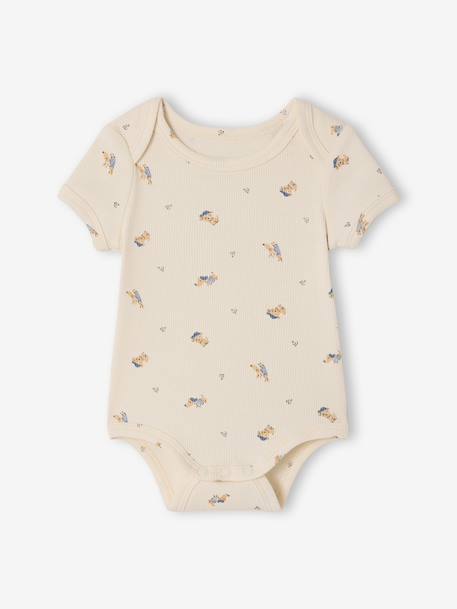 Pack of 3 short-sleeved dog print bodysuits for babies anthracite - vertbaudet enfant 