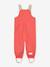 Waterproof dungarees for babies MATWALENTAYA MINI A TURE deep blue+sage green+tomato red - vertbaudet enfant 