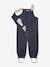 Waterproof dungarees for babies MATWALENTAYA MINI A TURE deep blue+sage green+tomato red - vertbaudet enfant 