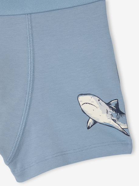Pack of 5 shark print boxers for boys grey blue - vertbaudet enfant 