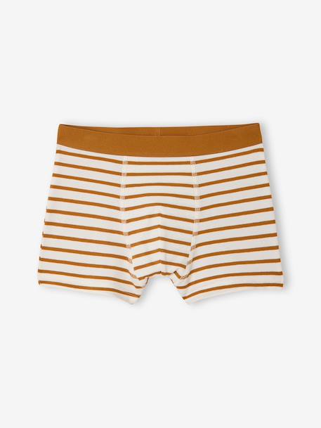 Pack of 5 boys' bike boxers ecru - vertbaudet enfant 