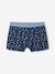 Pack of 5 shark print boxers for boys grey blue - vertbaudet enfant 