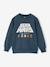 STAR WARS sweatshirt night blue - vertbaudet enfant 