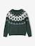 Jacquard Knit Jumper, Round Neckline, for Boys green+slate blue - vertbaudet enfant 