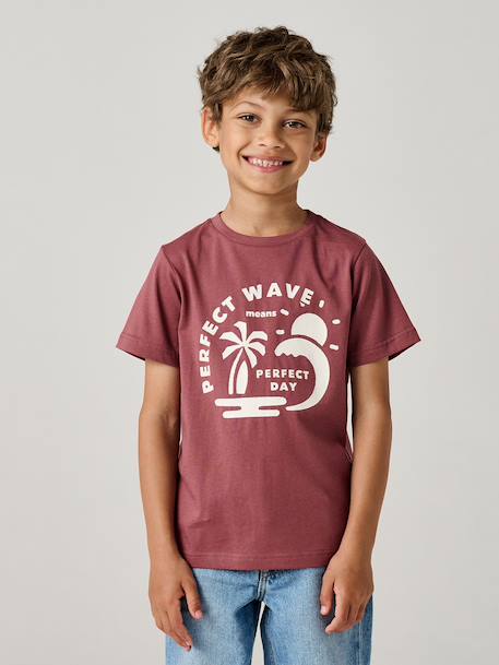 Printed boy's t-shirt aqua green+marl white+medium blue+mint green+ochre+olive+terracotta - vertbaudet enfant 