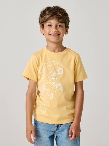 Printed boy's t-shirt aqua green+marl white+medium blue+mint green+ochre+olive+terracotta - vertbaudet enfant 