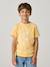 Printed boy's t-shirt aqua green+marl white+medium blue+mint green+ochre+olive+terracotta - vertbaudet enfant 