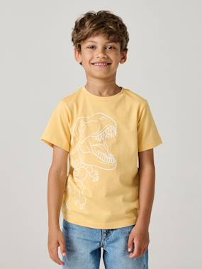 T-shirt garçon imprimé - vertbaudet enfant Garçon-T-shirt, polo, sous-pull-T-shirt-T-shirt garçon imprimé
