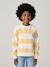 Striped boy's sweatshirt with placed motif pistachio+striped yellow - vertbaudet enfant 