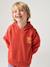 Hoodie with Motif on Chest for Boys, Basics orange+petrol blue - vertbaudet enfant 