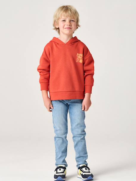 Hoodie with Motif on Chest for Boys, Basics orange+petrol blue - vertbaudet enfant 