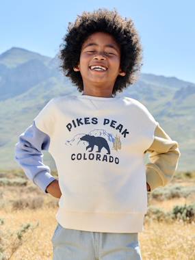 Boys-Cardigans, Jumpers & Sweatshirts-Sweatshirts & Hoodies-Round-neck sweatshirt with long sleeves for boys