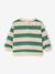 Striped long-sleeved baby sweatshirt striped green - vertbaudet enfant 