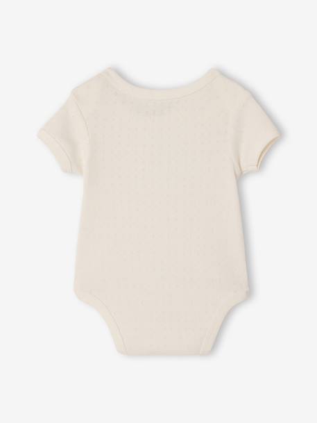 Pack of 3 short-sleeved pointelle bodysuits sage green - vertbaudet enfant 