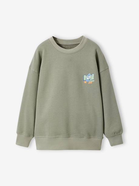 Pack of 2 long-sleeved boy's sweatshirts sage green - vertbaudet enfant 