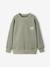 Pack of 2 long-sleeved boy's sweatshirts sage green - vertbaudet enfant 