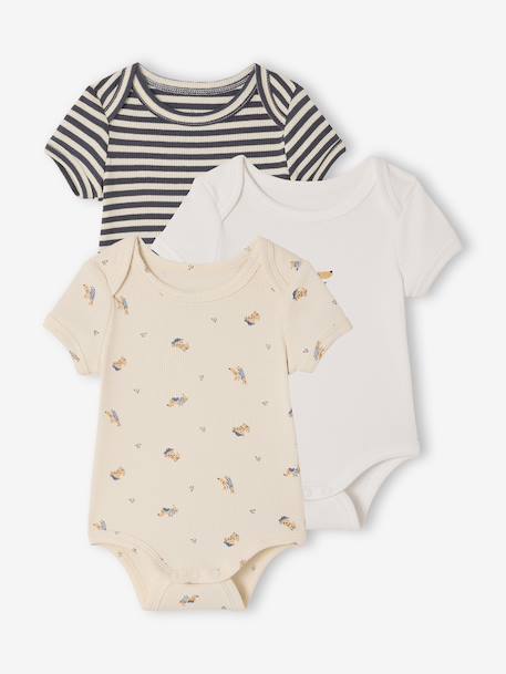 Lot 3 bodies bébé manches courtes chien anthracite - vertbaudet enfant 