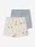 Pack of 2 baby shorts sky blue - vertbaudet enfant 