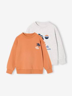 Boys-Cardigans, Jumpers & Sweatshirts-Sweatshirts & Hoodies-Pack of 2 "Cool and Fun" sweatshirts