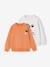 Pack of 2 'Cool and Fun' sweatshirts terracotta+tomato red - vertbaudet enfant 