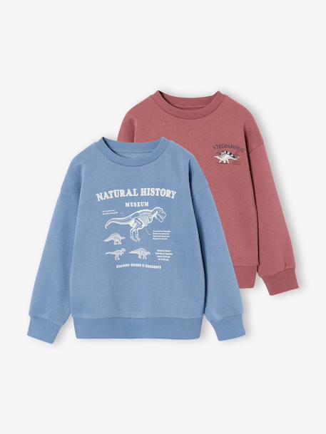 Pack of 2 'Cool and Fun' sweatshirts terracotta+tomato red - vertbaudet enfant 