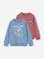 Pack of 2 'Cool and Fun' sweatshirts terracotta+tomato red - vertbaudet enfant 