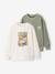 Pack of 2 long-sleeved boy's sweatshirts sage green - vertbaudet enfant 