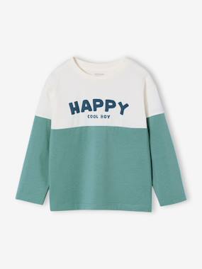 Boys-Sweatshirt with long colour block sleeves 