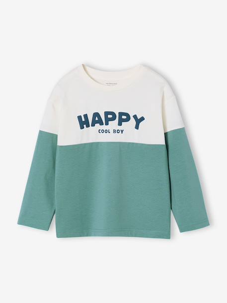 Sweatshirt with long colour block sleeves aqua green - vertbaudet enfant 