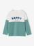 Sweatshirt with long colour block sleeves aqua green - vertbaudet enfant 