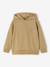Cotton boy's hooded sweatshirt cumin - vertbaudet enfant 
