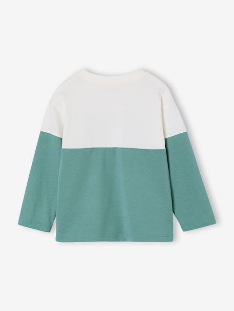Sweatshirt with long colour block sleeves aqua green - vertbaudet enfant 