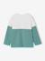 Sweatshirt with long colour block sleeves aqua green - vertbaudet enfant 