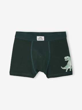 Garçon-Lot 5 boxers dino
