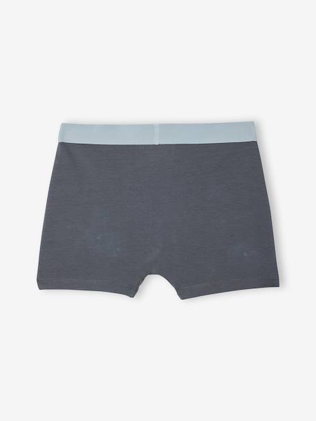 Pack of 5 F1 car boxers anthracite - vertbaudet enfant 