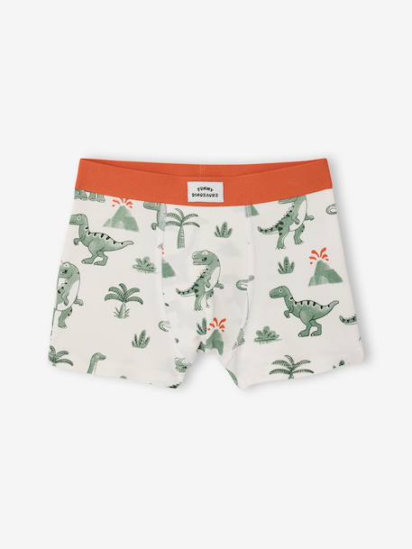 Pack of 5 dino boxers ink blue - vertbaudet enfant 