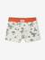 Pack of 5 dino boxers ink blue - vertbaudet enfant 