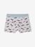 Pack of 5 F1 car boxers anthracite - vertbaudet enfant 