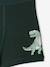 Pack of 5 dino boxers ink blue - vertbaudet enfant 