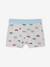 Pack of 5 Van boxers aqua green - vertbaudet enfant 