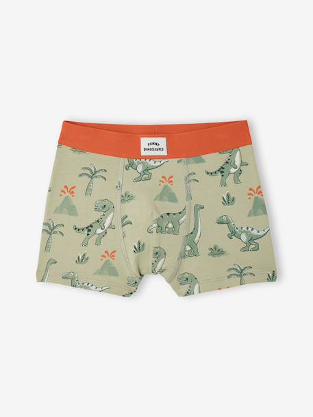 Pack of 5 dino boxers ink blue - vertbaudet enfant 