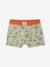 Pack of 5 dino boxers ink blue - vertbaudet enfant 