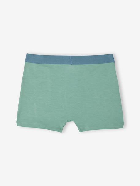 Pack of 5 boys' boxers with a circuit print ecru - vertbaudet enfant 