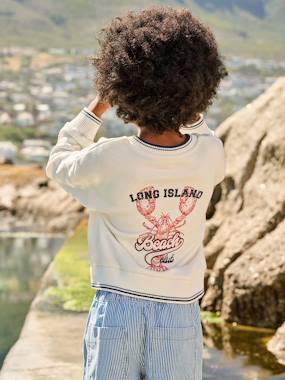 Boy's V-neck sweatshirt - vertbaudet enfant